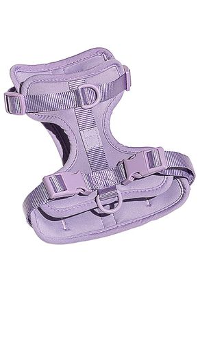 HARNAIS SMALL HARNESS in . Size - Wild One - Modalova