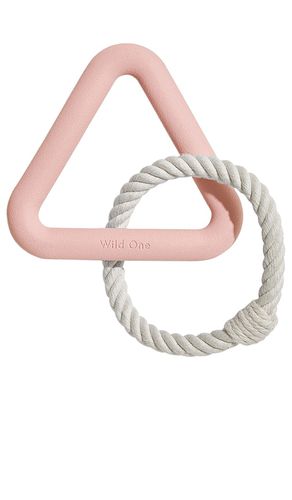 JOUET POUR CHIEN SMALL TRIANGLE TUG TOY in - Wild One - Modalova