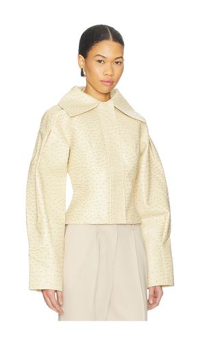 BLOUSON OLSEN OSTRICH en . Taille S. Also en M, XL - Yellow The Label - Modalova