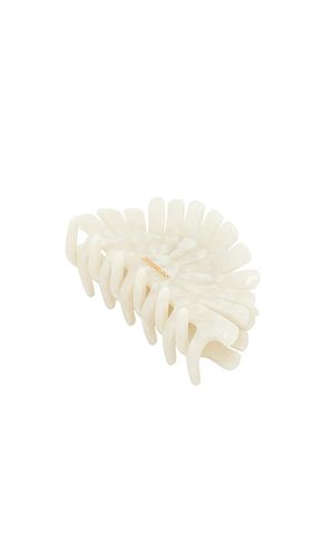 BARRETTE À CHEVEUX PEACOCK en - Zimmermann - Modalova