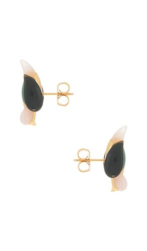 BOUCLES D'OREILLES PLUME STUD en - Zimmermann - Modalova