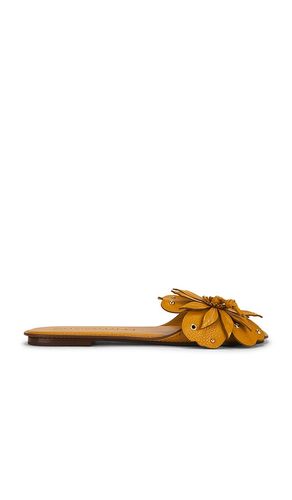 CHAUSSURES BRIGHTSIDE SLIDE en . Taille 36. Also en 37, 38, 39, 40 - Zimmermann - Modalova
