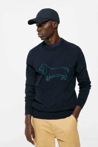 Pull chien Springfield - Springfield - Modalova