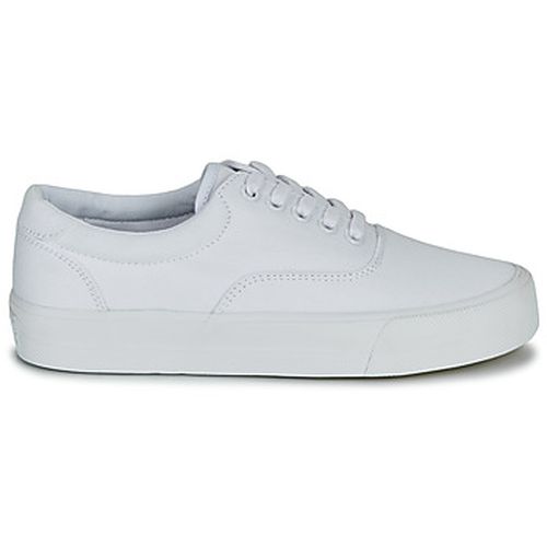 Baskets basses CLASSIC LACE UP TRAINER - Superdry - Modalova