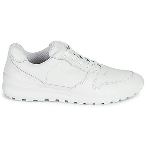 Baskets basses NOUCHE - Casual Attitude - Modalova