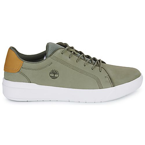 Baskets basses SENECA BAY OXFORD - Timberland - Modalova