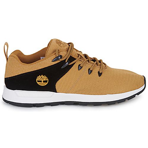 Baskets basses SPRINT TREKR LOW KNIT - Timberland - Modalova