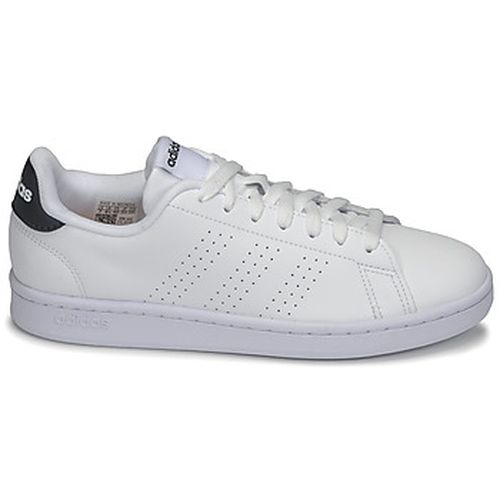 Baskets basses adidas ADVANTAGE - adidas - Modalova