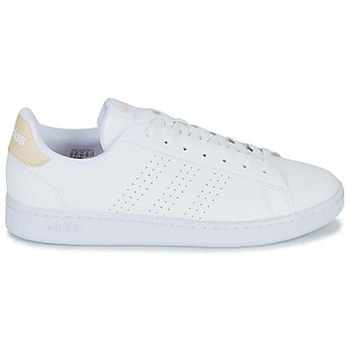 Baskets basses adidas ADVANTAGE - adidas - Modalova