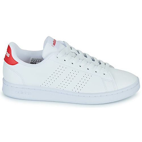 Baskets basses adidas ADVANTAGE - adidas - Modalova