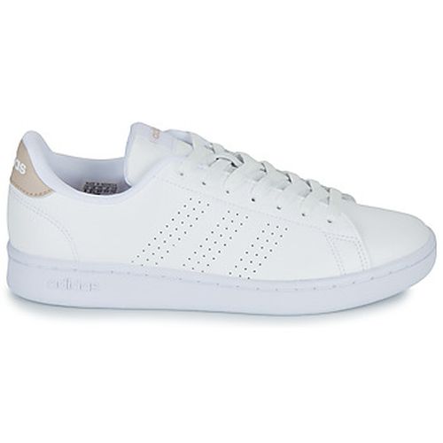 Baskets basses adidas ADVANTAGE - adidas - Modalova