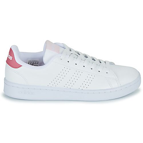 Baskets basses adidas ADVANTAGE - adidas - Modalova