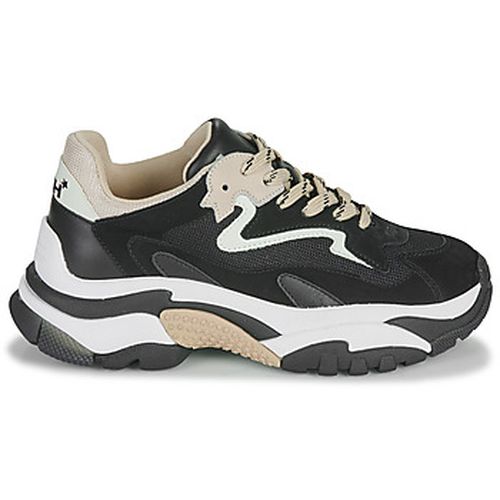 Baskets basses Ash ADDICT - Ash - Modalova