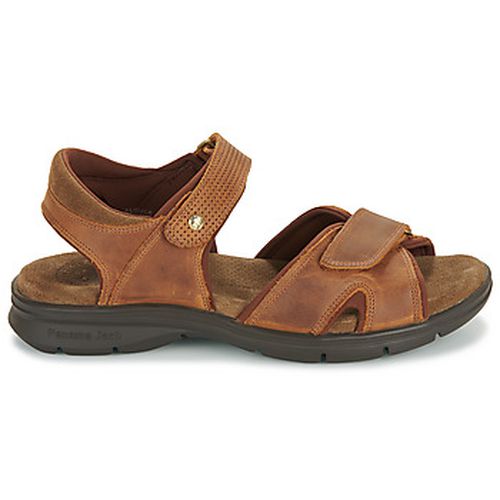 Sandales SANDERS BASICS C4 - Panama Jack - Modalova