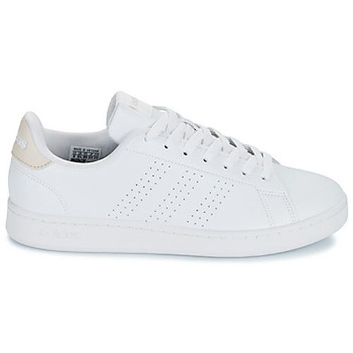 Baskets basses adidas ADVANTAGE - adidas - Modalova