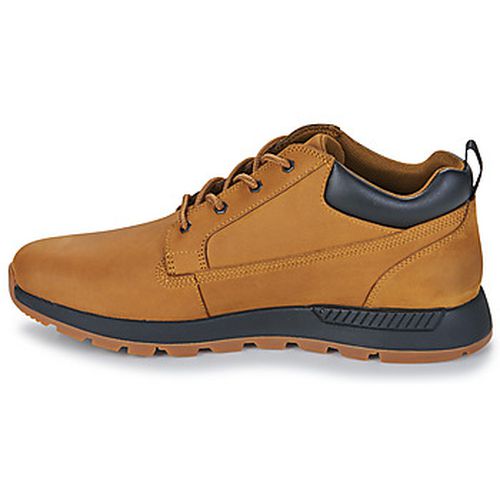 Boots KILLINGTON TREKKER LOW LACE UP - Timberland - Modalova