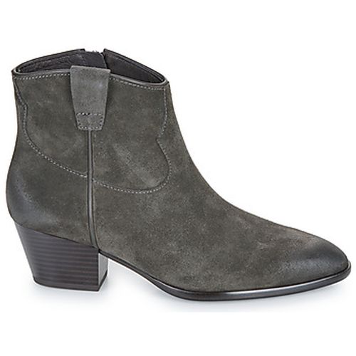 Bottines Ash FAME - Ash - Modalova