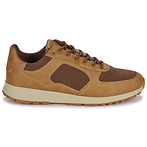 Baskets basses Clae JOSHUA - Clae - Modalova