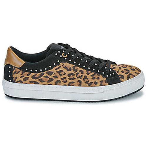 Baskets basses SNEAKERS LEOPAR - Ikks - Modalova