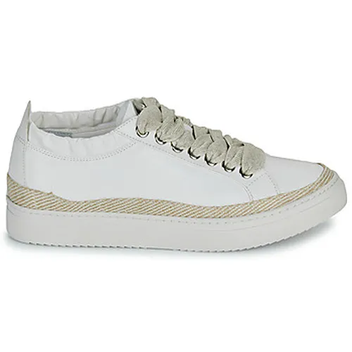 Baskets basses Adige QUINCY - Adige - Modalova
