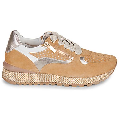 Baskets basses Adige YOKO - Adige - Modalova