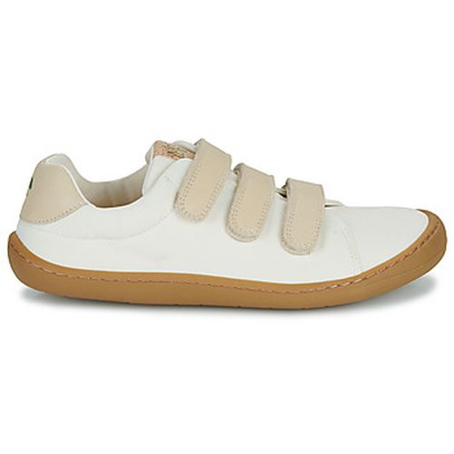Baskets basses ZAPHIRA - Dream in Green - Modalova
