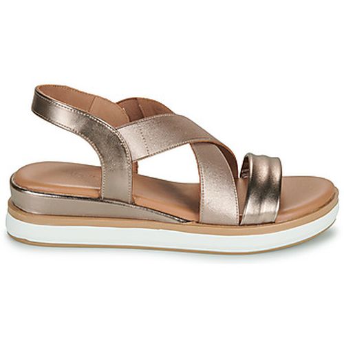 Sandales Inuovo 113015 - Inuovo - Modalova