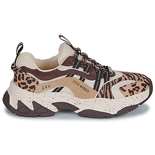 Baskets basses ANIMATES-L - Steve Madden - Modalova