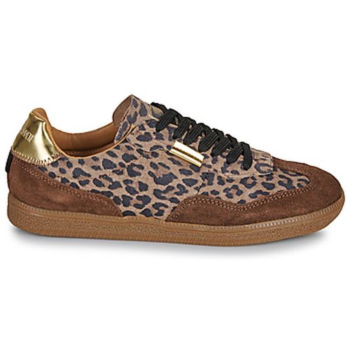 Baskets basses EMPORIA - Steve Madden - Modalova