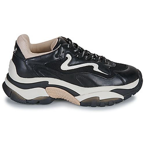 Baskets basses Ash ADDICT - Ash - Modalova