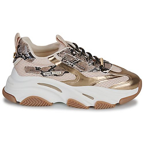 Baskets basses POSSESSION - Steve Madden - Modalova