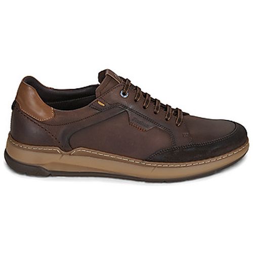 Baskets basses Fluchos JEFF - Fluchos - Modalova