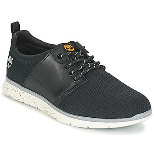 Baskets basses KILLINGTON L/F OXFORD - Timberland - Modalova