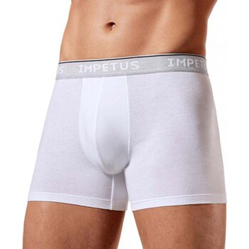 Boxers Impetus Cotton Organic - Impetus - Modalova