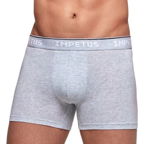 Boxers Impetus Cotton Organic - Impetus - Modalova