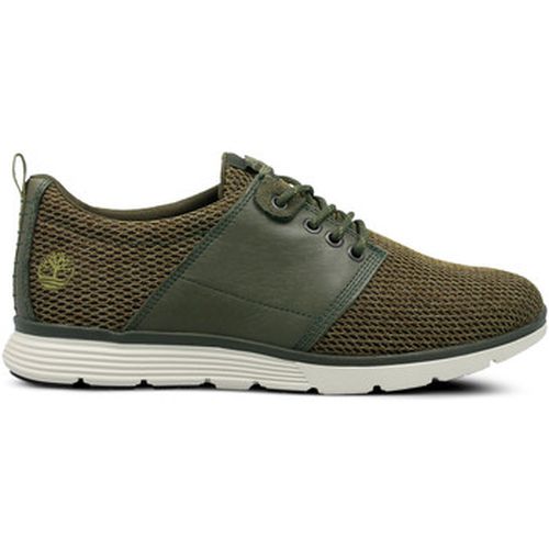 Baskets basses Killington Oxford - Timberland - Modalova