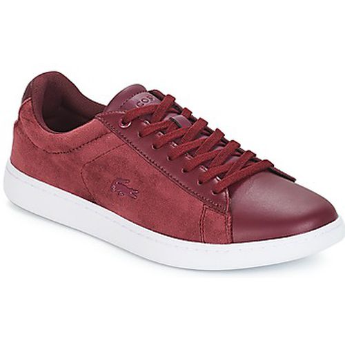 Baskets basses CARNABY EVO 318 8 - Lacoste - Modalova