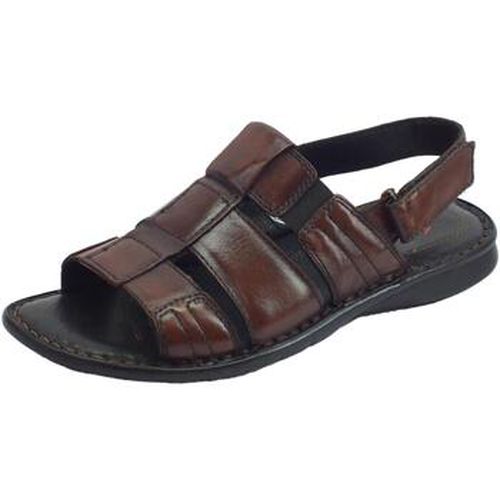 Sandales Zen 276758 - Zen - Modalova