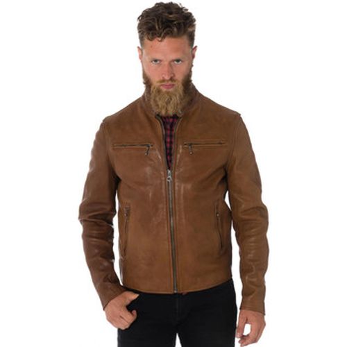 Veste Daytona TRITON COW VEG GOLD - Daytona - Modalova