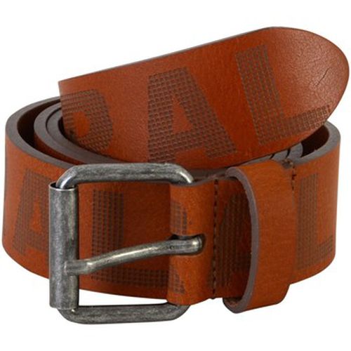 Ceinture Kaporal Ceinture Keaton - Kaporal - Modalova