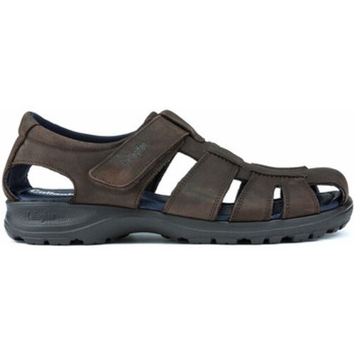 Sandales sandale confortable et léger - CallagHan - Modalova