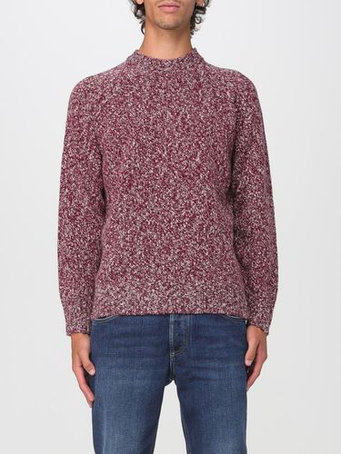 Pull couleur Violet 52 - Drumohr - Modalova