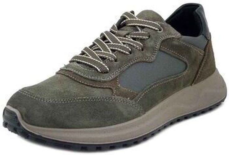 Baskets basses Chaussures, Sneakers en Daim, Semelle Amovible - 853550 Vert - Imac - Modalova