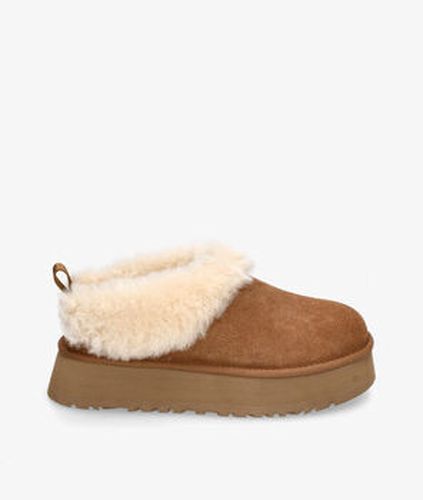 Chaussons UGG TAZZELLE Marron - Ugg - Modalova