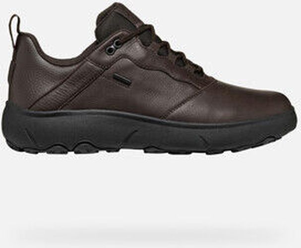 Baskets U NEBULA + GRIP B AB Marron - Geox - Modalova