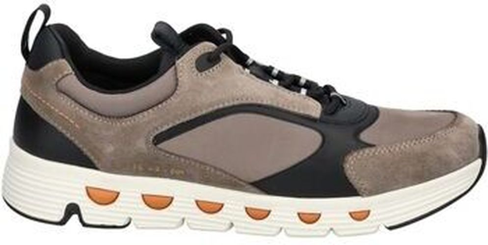 Baskets basses Geox Sneaker Gris - Geox - Modalova
