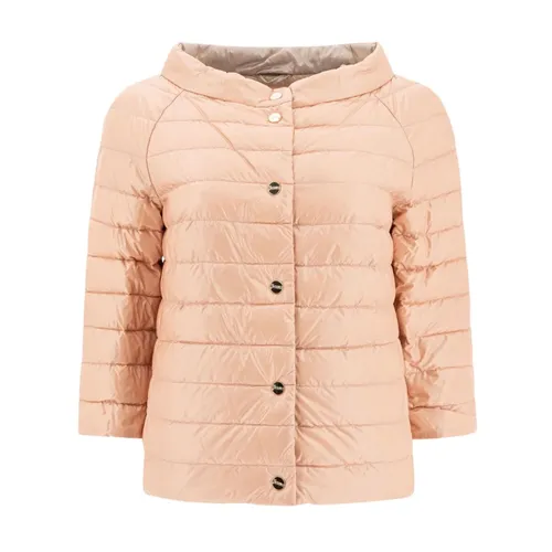 Jackets > Winter Jackets - - Herno - Modalova