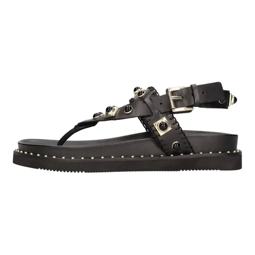 Shoes > Sandals > Flat Sandals - - ASH - Modalova