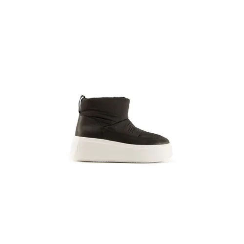 ASH - Shoes > Sneakers - Black - ASH - Modalova