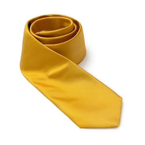 Accessories > Ties - - Dolce & Gabbana - Modalova